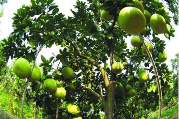 国庆大成都内二日游,国庆大假5天自驾游