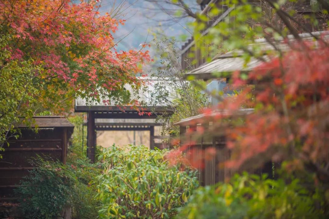拈花湾运营方案,拈花湾运营研究