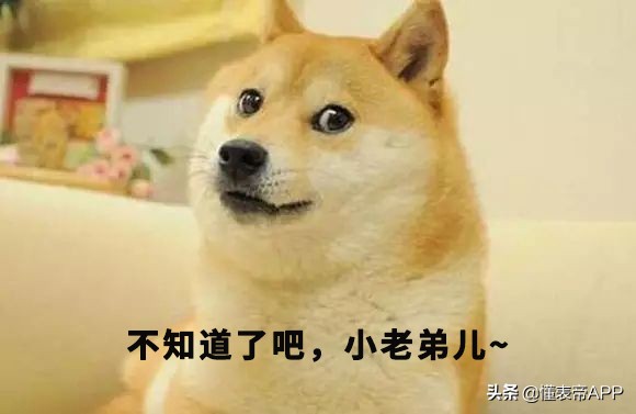 腕表行业,腕表数据分析