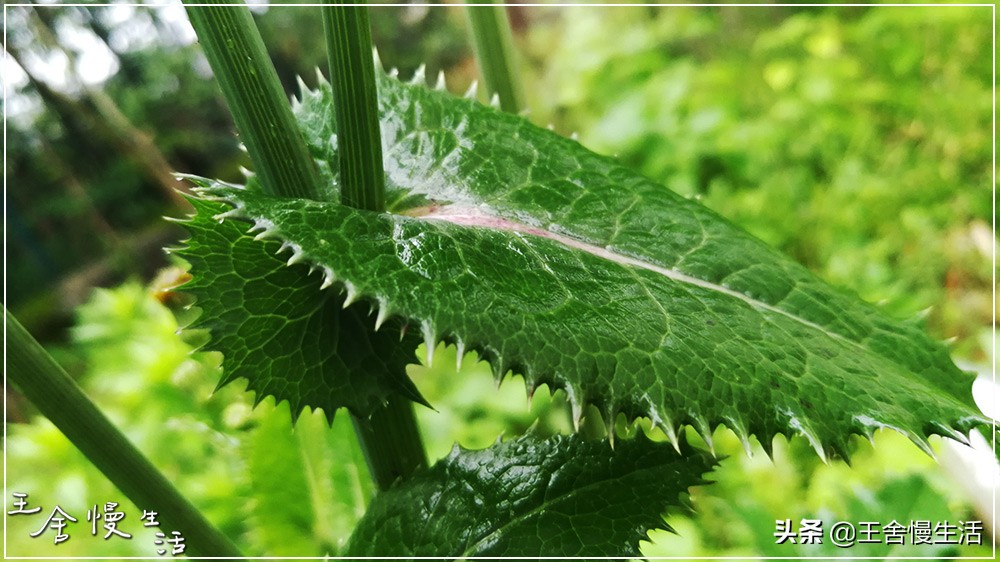 我可以抱抱你吗怎么说,我可以抱你吗的视频