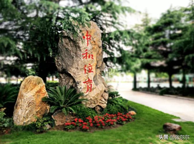 上海西南位育高中国际部,上海国际学校国际部高中