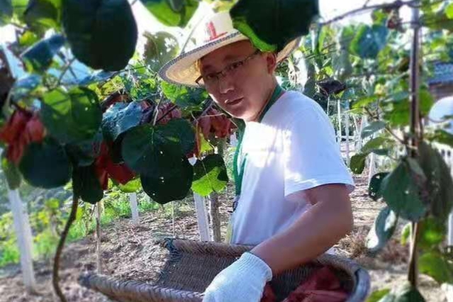 7万亿进入，农村迎7大发展机遇！诞生28类创业新项目，农2代看准