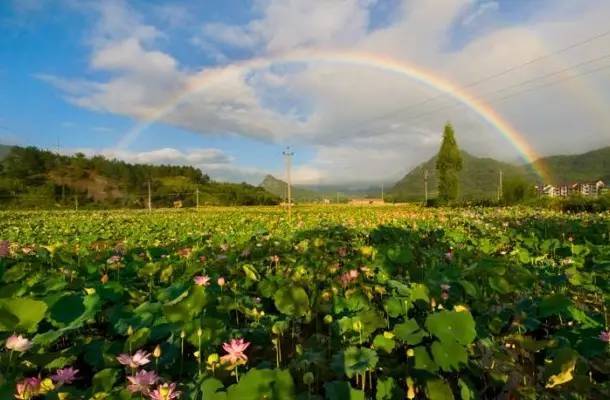 国家农业综合开发项目,国家现代农业产业园有何扶持政策