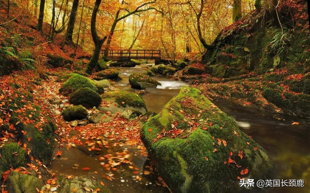 英国秋天好去处,英国秋天旅游必去的地方