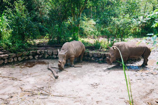 昆明西双版纳沿途的景点有哪些,昆明至西双版纳沿途旅游景点