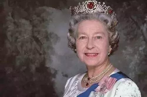 红珊瑚为什么最近火,红珊瑚十五年涨幅