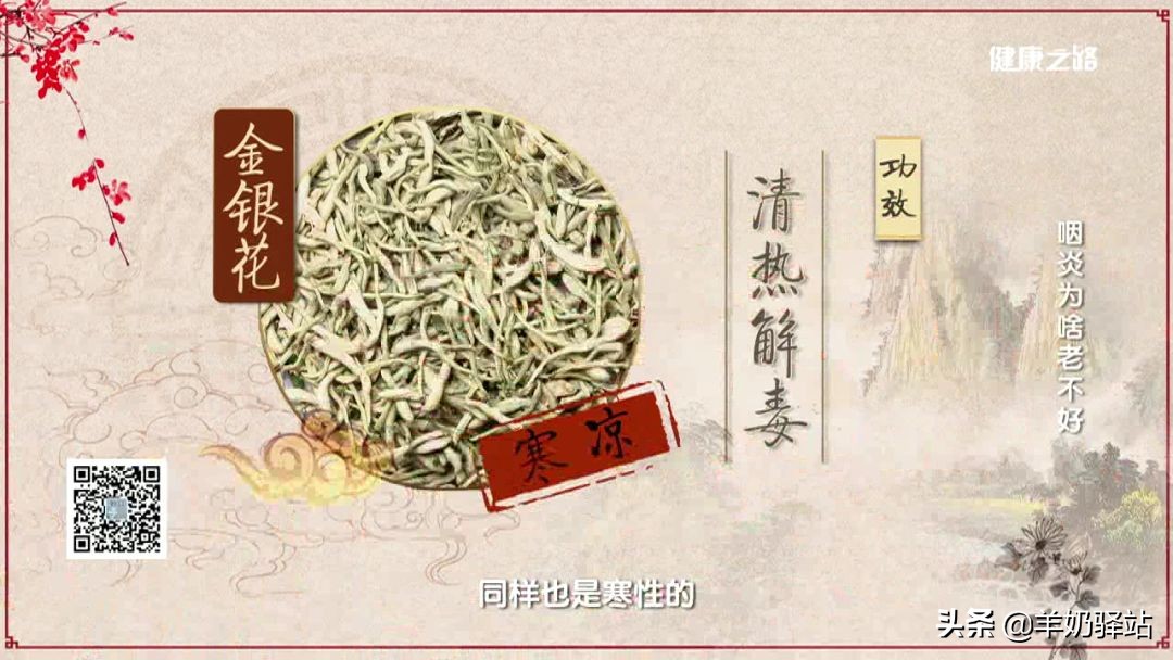 急性、慢性咽炎病不同!对症下药治根本