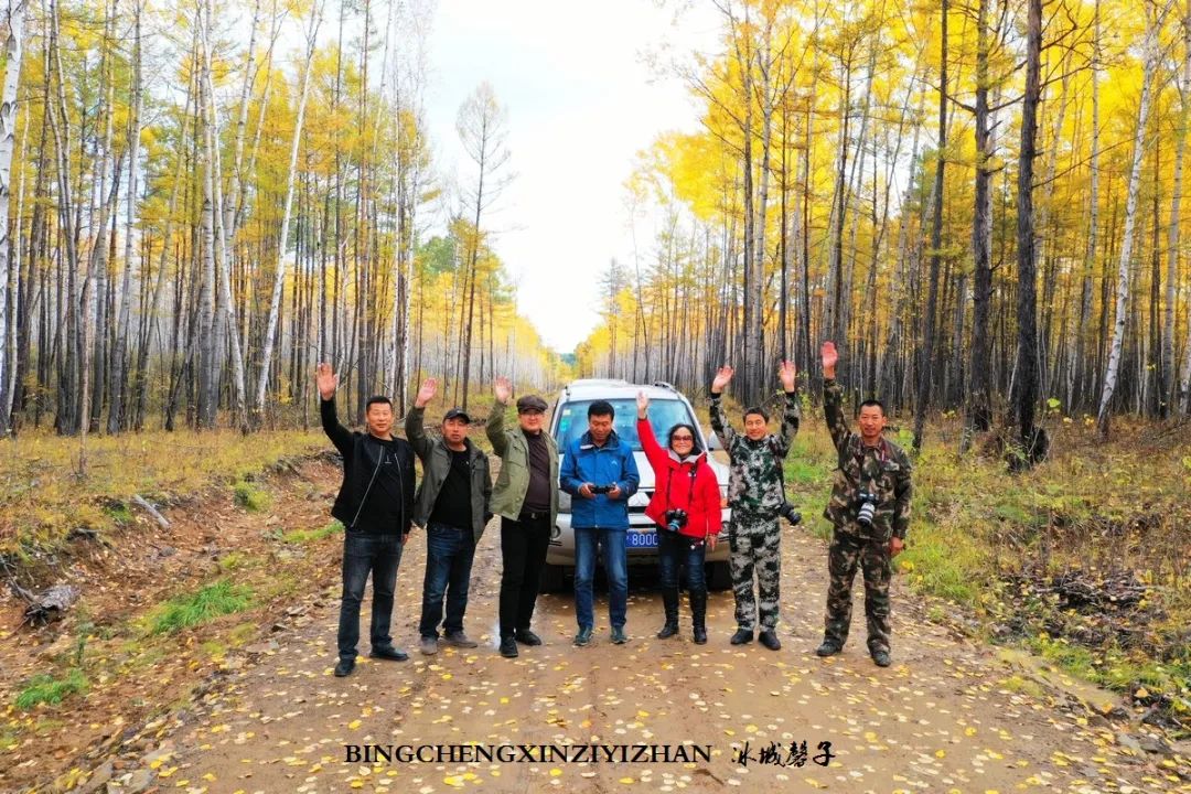 深秋的大兴安岭色彩斑斓,大兴安岭的秋天美景