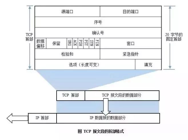 计算机网络基础知识大全,专业计算机基础知识网络课程