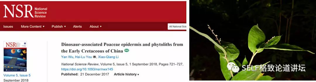 关于恐龙的研究详细,恐龙食谱大全及做法