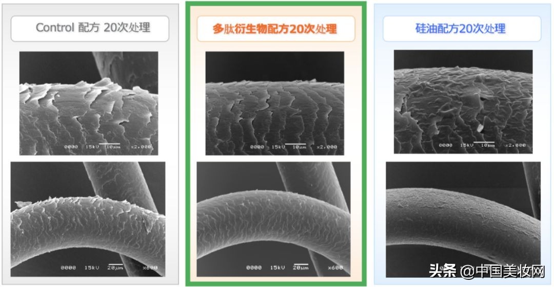 多肽滋养洗护,蛋白多肽洗护系列