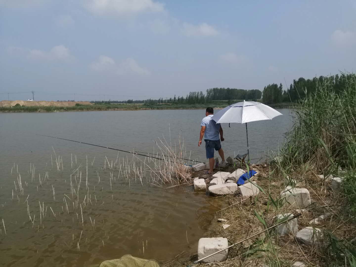 钓甲鱼的工序,钓甲鱼的全部过程视频