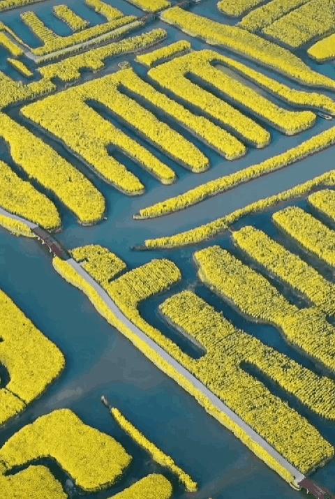 泰州中国最幸福的城市,泰州哪里比扬州好