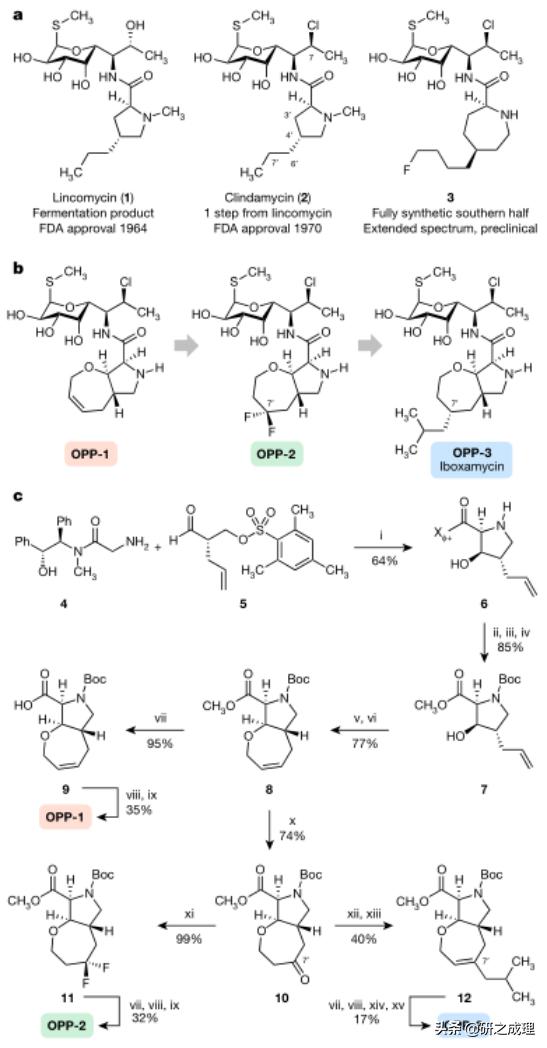 nature重磅抗生素 (有机合成抗生素)