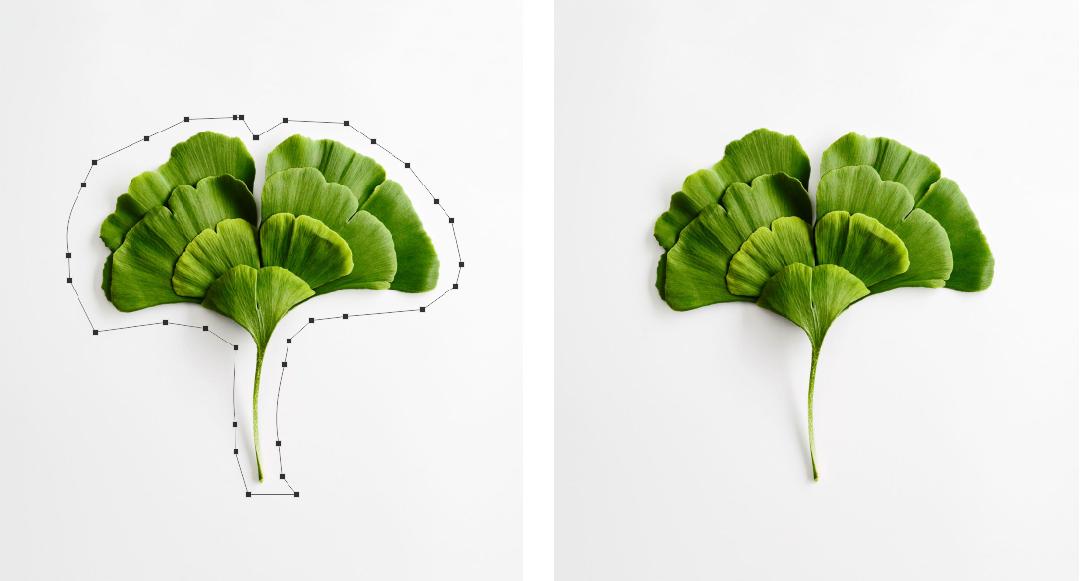 photoshop绘图基础教程,photoshop的矢量绘图