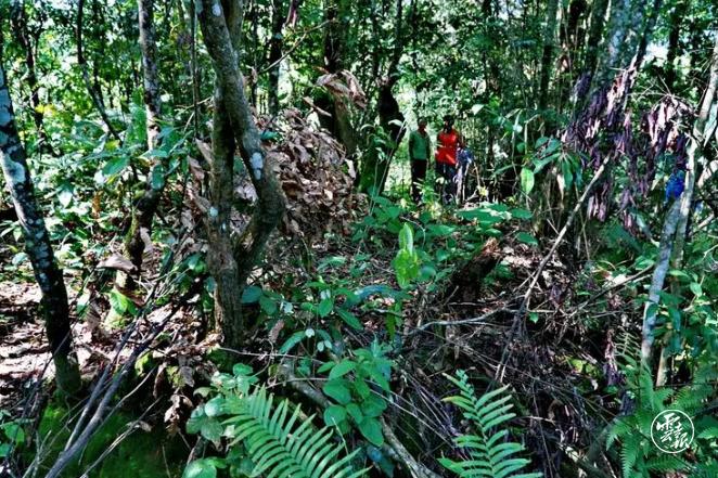 云南沧源县的风景,云南沧源最漂亮的地方