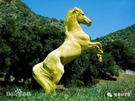 关于马的基本知识和方法,你知道吗关于马的一些小知识