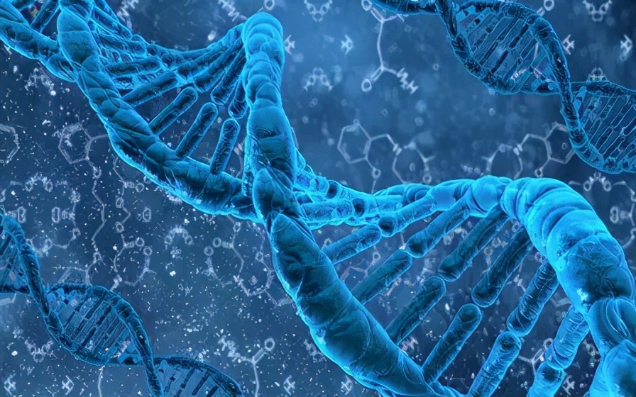 利德曼新冠抗体检测,利德曼新冠检测