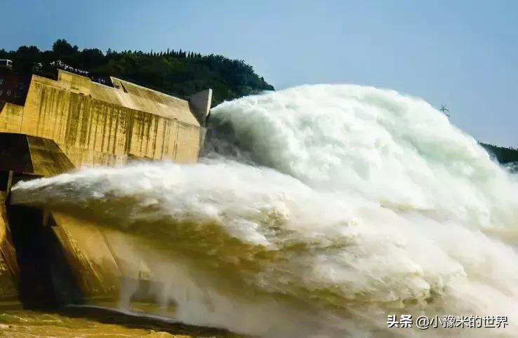 向洛阳人发出邀请国潮盛宴来袭,洛阳发布通知