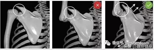 引体向上沉肩还是耸肩,什么是耸肩什么是沉肩