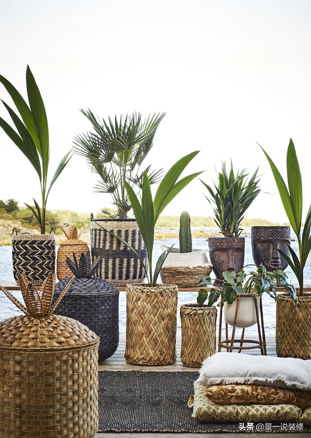 室内植物的摆放设计及养护,室内什么盆栽植物好养护呢