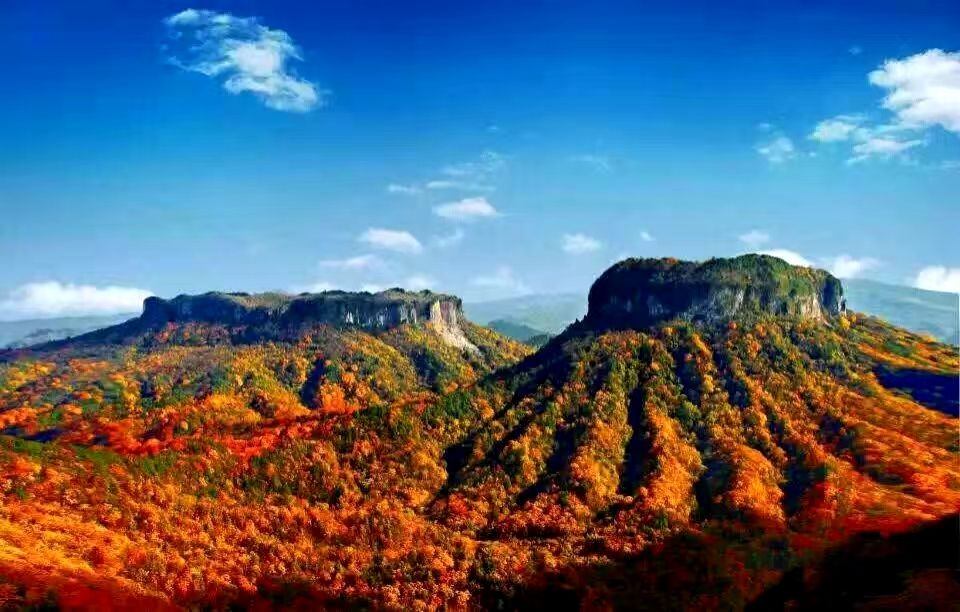 周仕兵：匠心酿出时光佳酿醉美人生