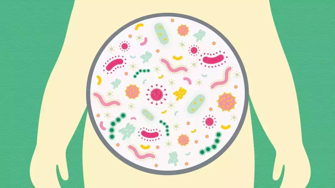 孩子总是腹泻是因为蛋白质过敏吗,儿童腹泻会导致免疫力下降吗