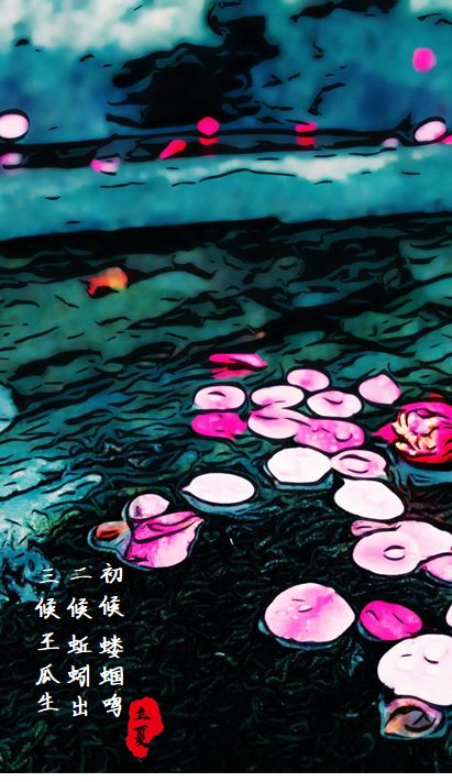 适合立夏喝的排寒养生茶,立夏养生茶配方大全