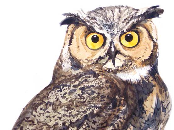 水彩绘画用的纸,水彩绘画用的画笔