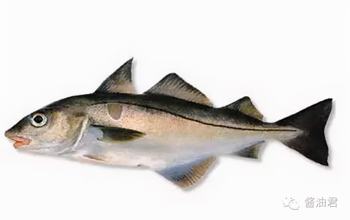 英国超市的鱼类有哪些,英国超市鱼的种类