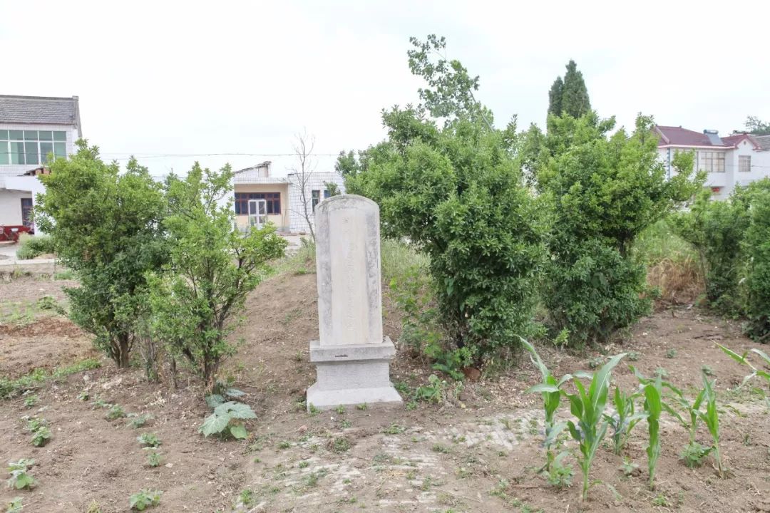 元和杂谈吴承恩,吴承恩的志怪故事