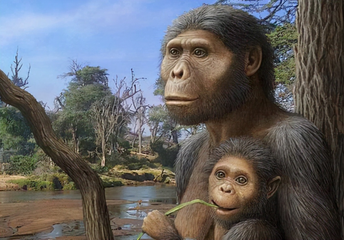 只有女人才能怀孕,只有女人会生孩子吗