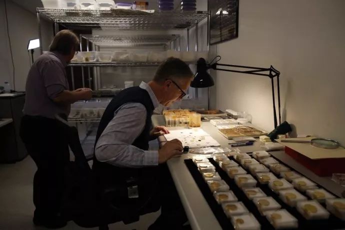 美国历史上最大的黄金失落宝藏