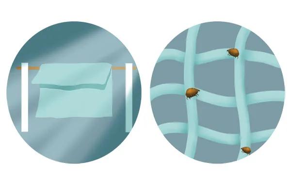 床上有螨虫用什么除螨药最好,床上如果有螨虫会怎么样