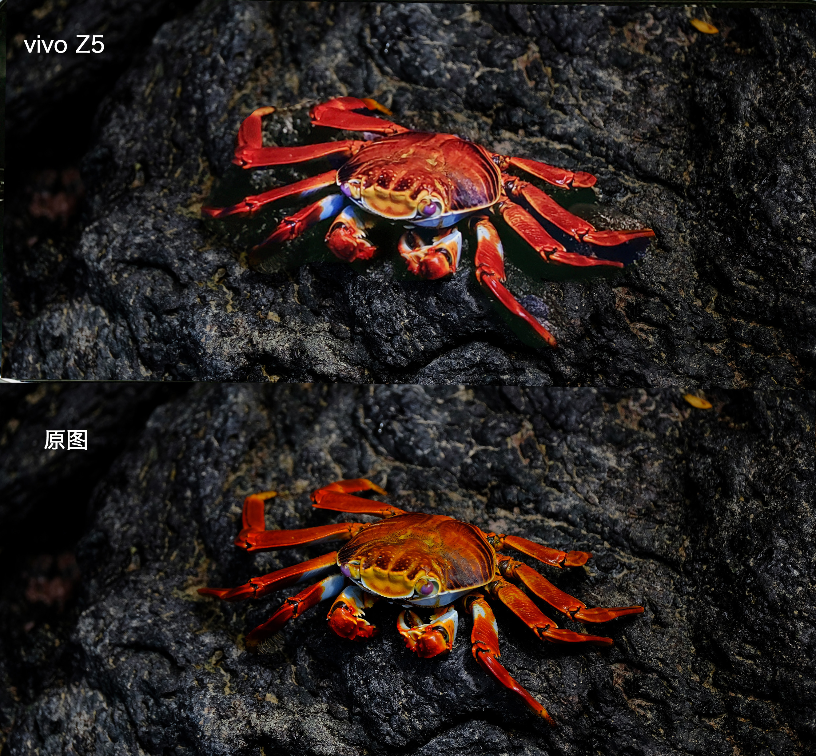 vivoz5到底值不值得入手,vivoz5值不值得学生党用