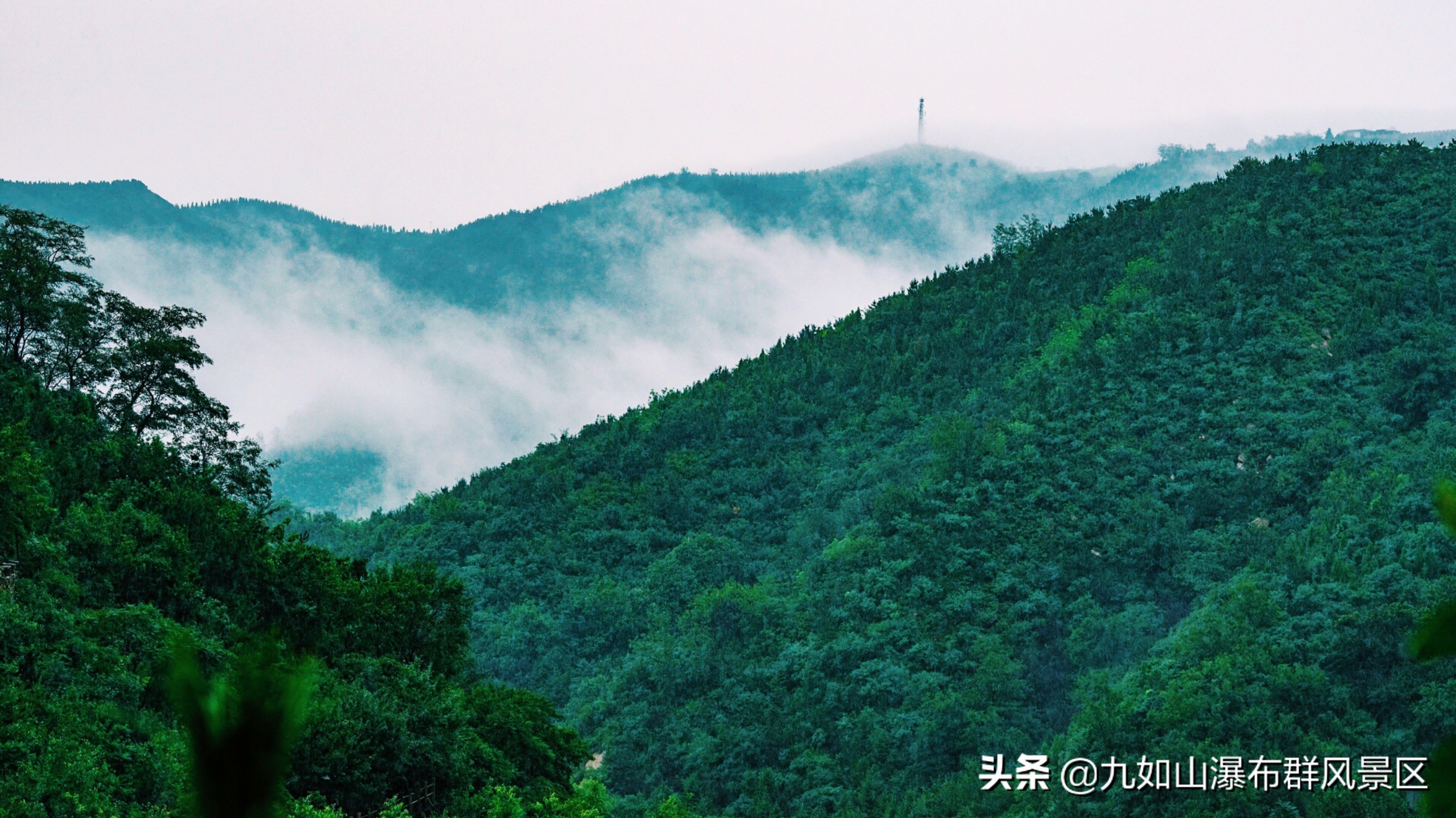 济南九如山65岁老人免票吗,济南九如山门票终身免票还有效吗