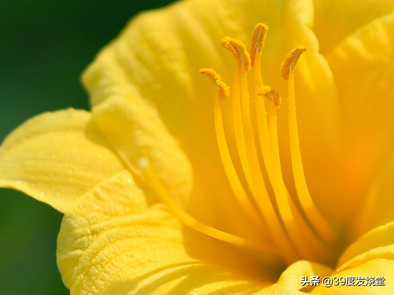 这5000元真值了!尼康Z85mmf/1.8轻量化人像镜头评测