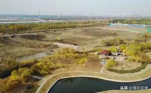 来看看滨海新区有多牛，现在你对我爱答不理，明天让你高攀不起！