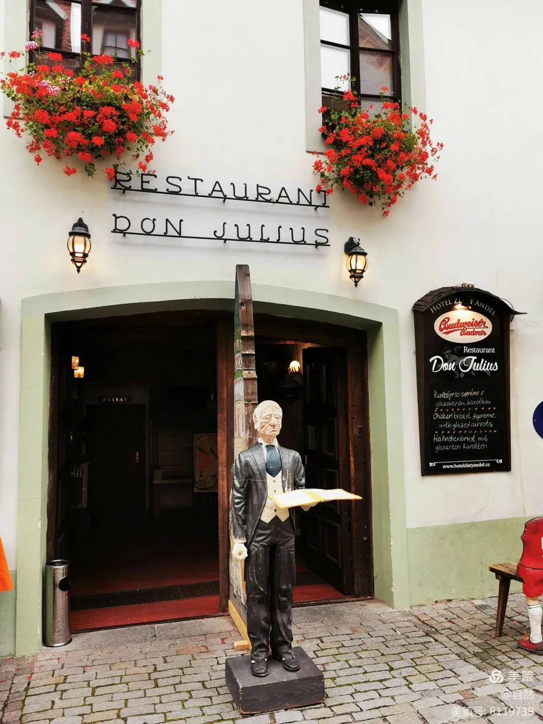 东北花园四季开花植物,北方一年四季都开花的花园