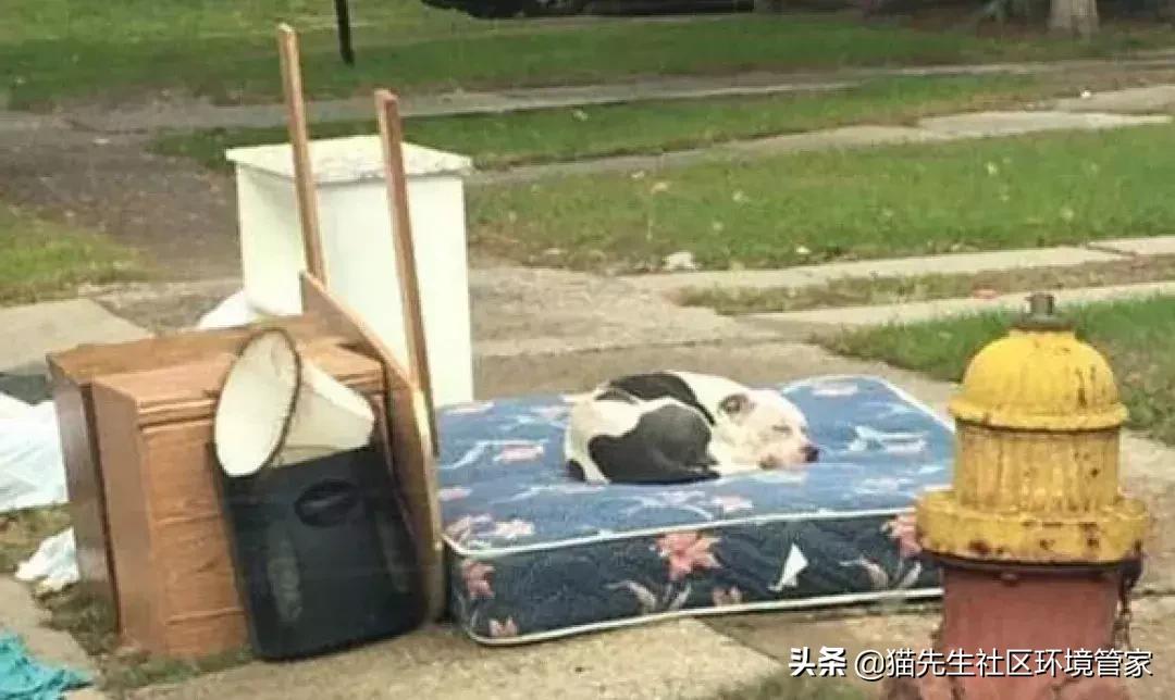 宜家家居买沙发回收旧沙发吗,宜家回收旧家具吗昆明