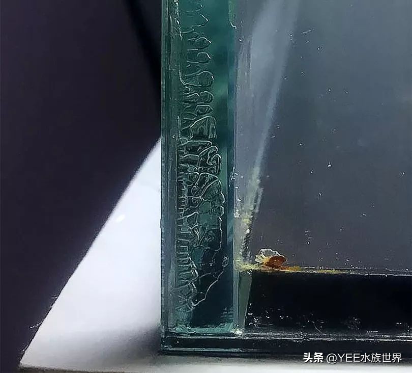 粘玻璃鱼缸专用的胶水,鱼缸专用密封胶是什么