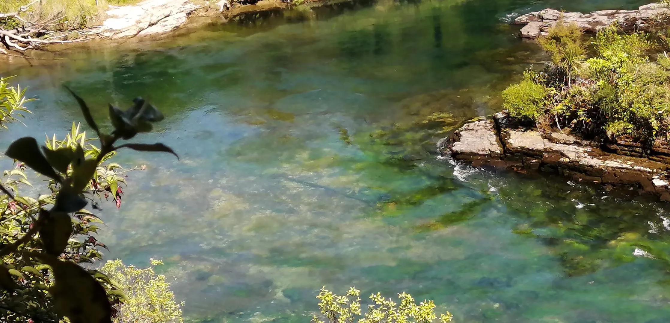 记忆中的旅行之新西兰(北岛)