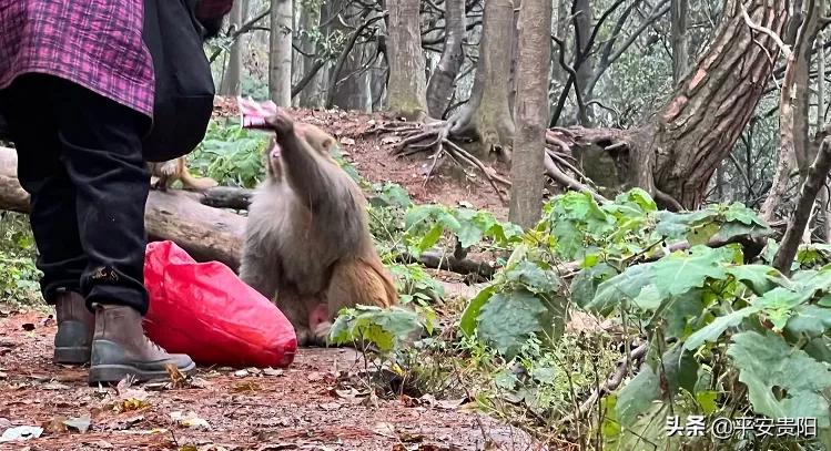 越来越嚣张了怎么办,越来越嚣张怎么解决
