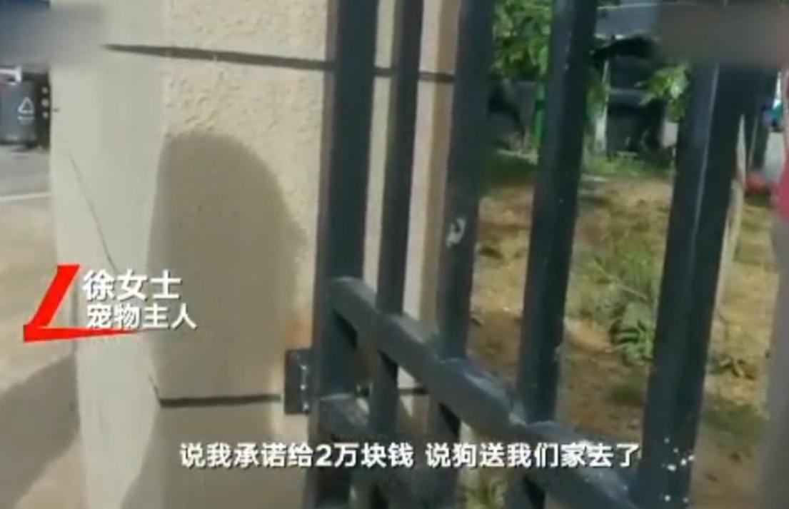 寻狗赠送北京一套房物业回应,寻狗赠房