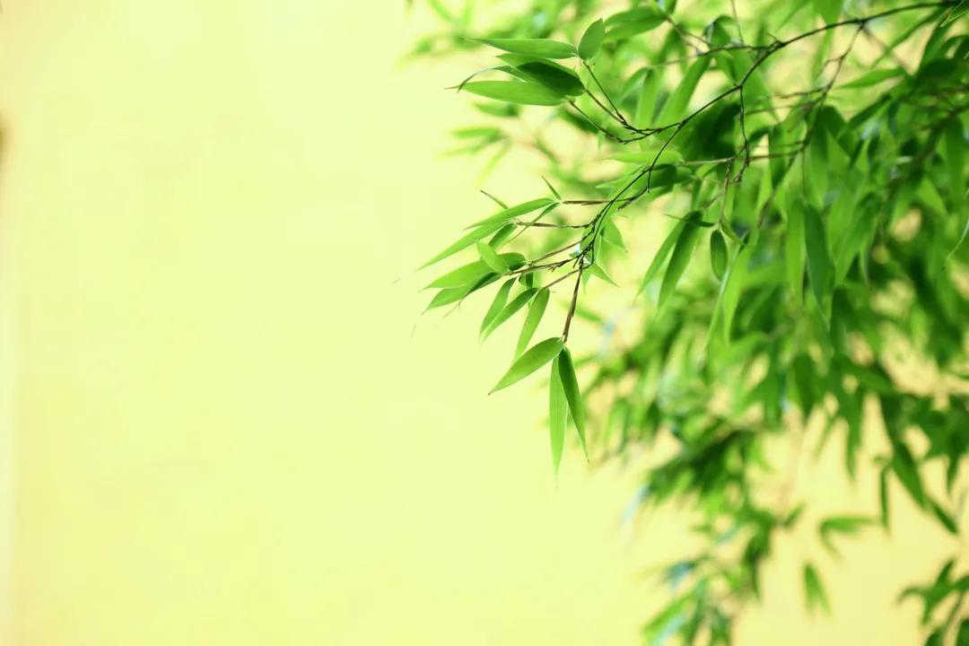 摩西十诫和佛教五戒,佛教犯了五戒怎么办