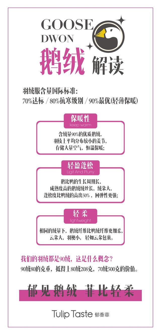 波司登鹅绒立领时装款,波司登鹅绒女装短款