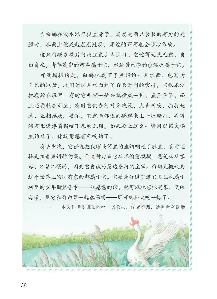 四年级下册语文15课白鹅课堂笔记,四年级下册语文15课白鹅练习答案