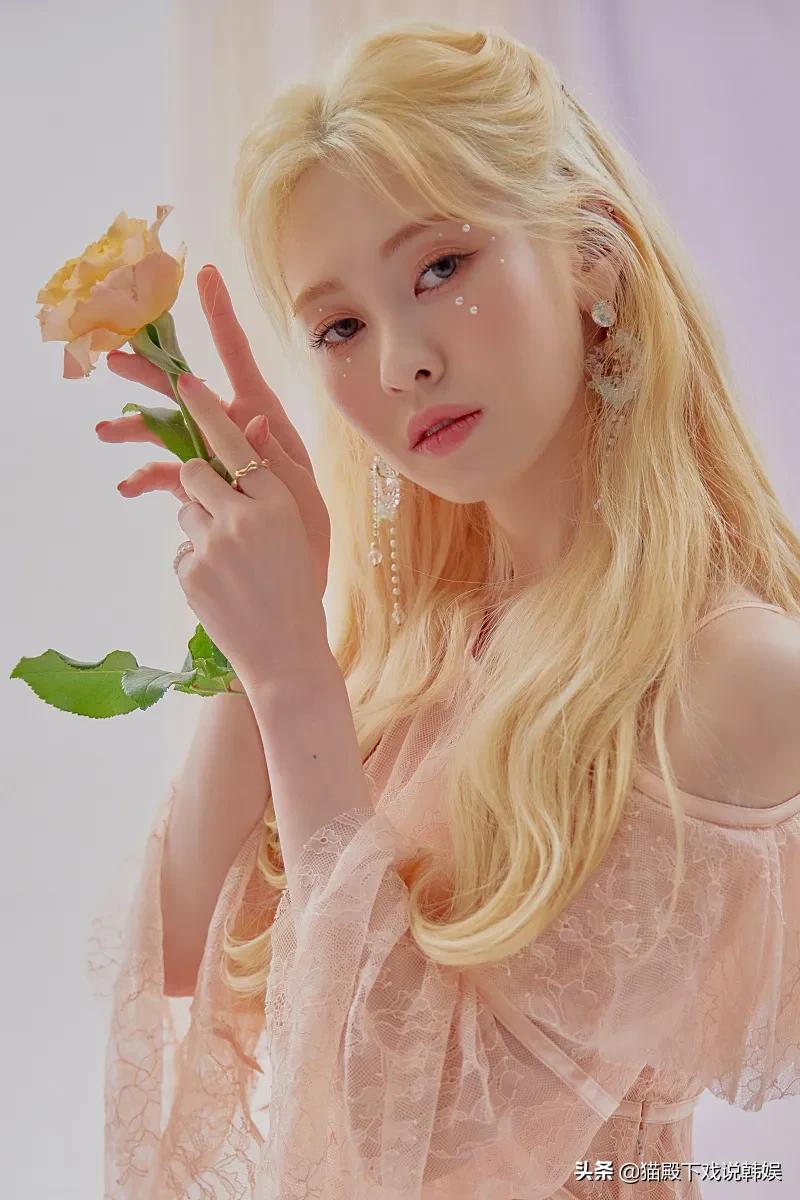 韩娱大爆料:李洪基、圭贤、权珉阿、允儿、白豫彬