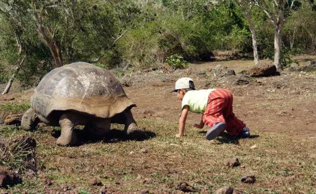 他叫辛巴,不是狮子王,8岁穿越12国:最好的教育,永远在路上