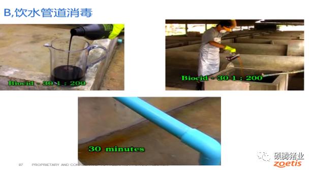 一文了解疫苗最新进展,一文看懂生物抗衰老